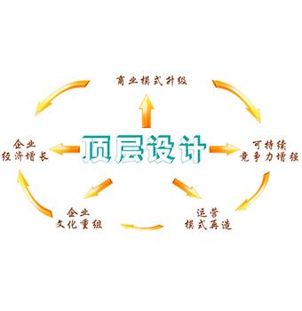 公司顶层架构设计对接服务 公司顶层架构设计对接服务