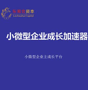 资本顶层设计师小微企业加速器